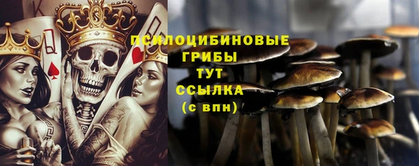 mix Верхний Тагил