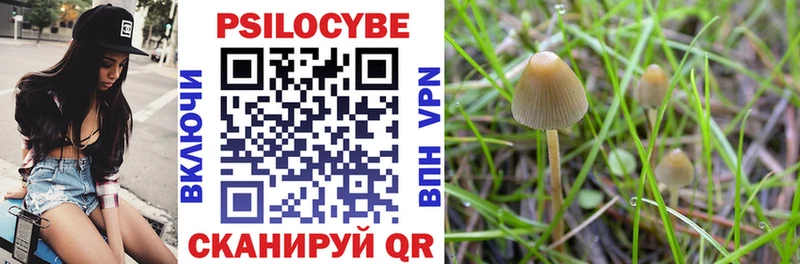 что такое наркотик  Горнозаводск  Псилоцибиновые грибы Magic Shrooms 